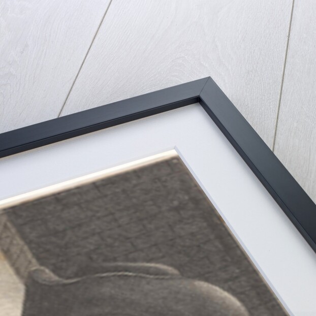 Smiling boy with cat, Lambert Visscher by Antoine François Dennel