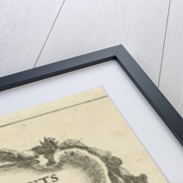 Cartouche with shells by Reinier Nooms