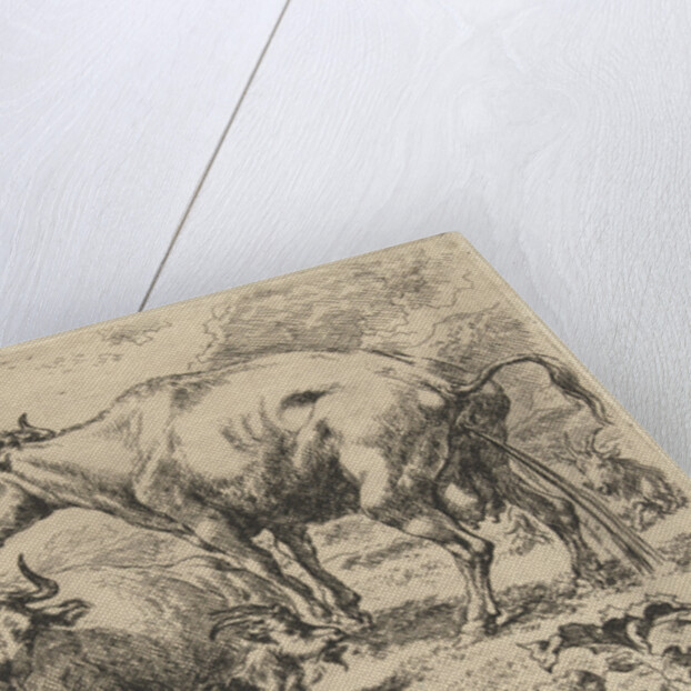 Reclining and a urinating cow by Nicolaes Pietersz. Berchem