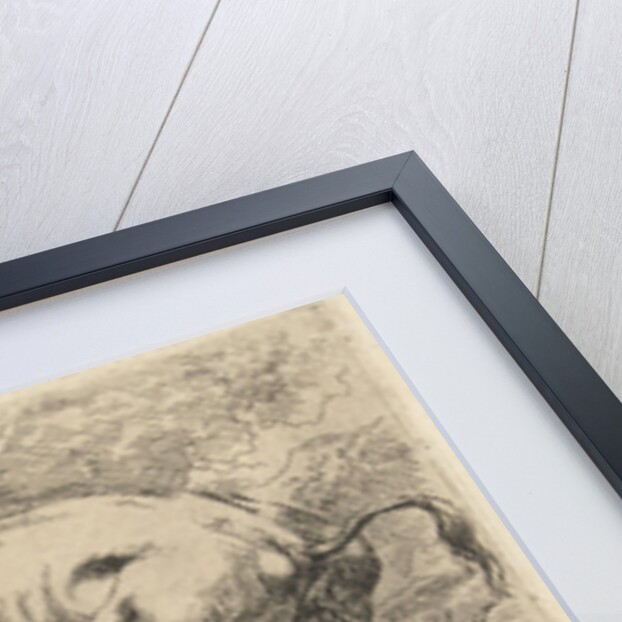 Reclining and a urinating cow by Nicolaes Pietersz. Berchem