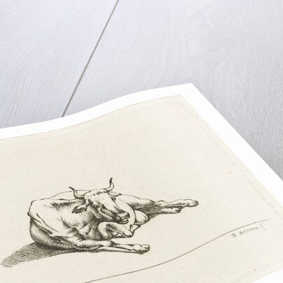 Lying cow by D. Merrem