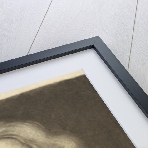 Portrait of Johannes Jacobus Vitriarius by Hieronymus van der Meij