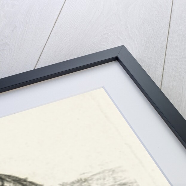 Drinking horse by Jan Dasveldt