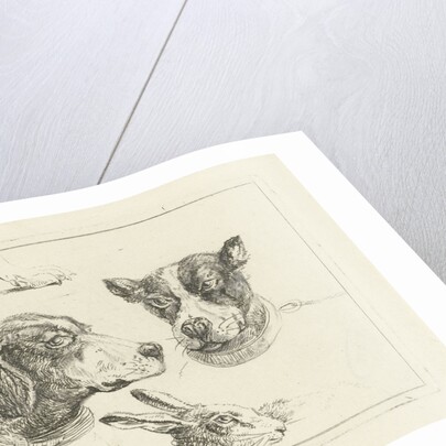 Study Sheet with two dog heads, paws dog and head of hare by Jan Dasveldt