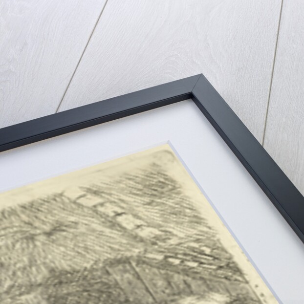 Dog standing in loft by Jan Dasveldt