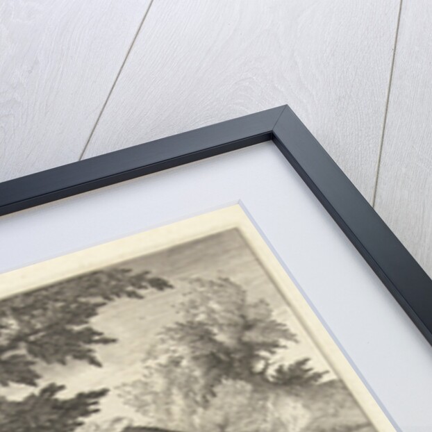 Each believes his owl to be a falcon by Franco Estius