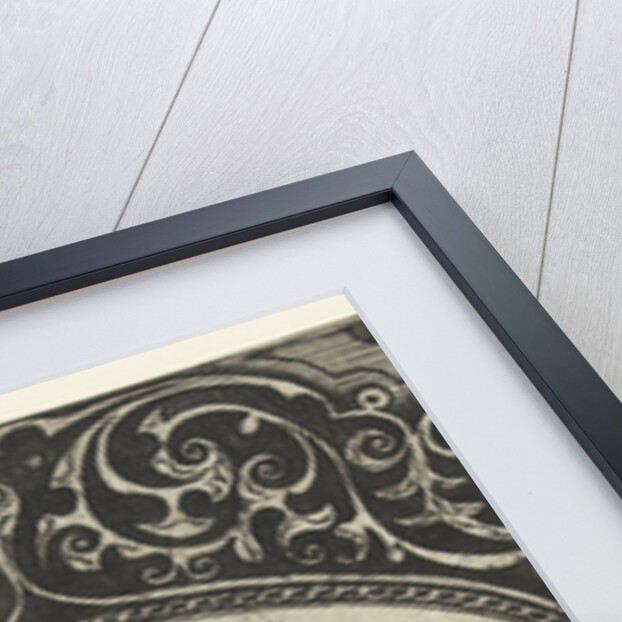 Liber maurusiarum duplicium by Balthazar van den Bos