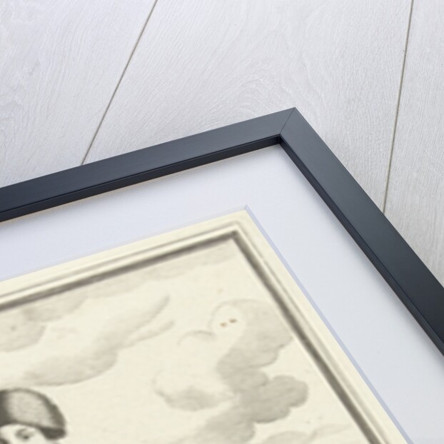 Farmer from Schagen by Pieter Schenk I