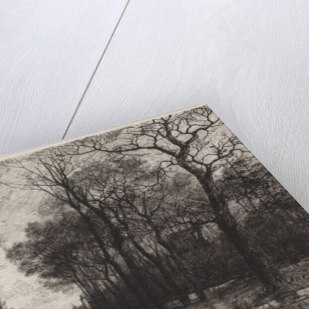 Three people on a road lined with trees by Elias Stark