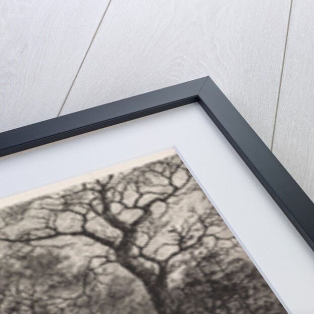 Three people on a road lined with trees by Elias Stark