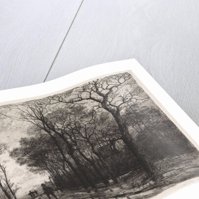 Three people on a road lined with trees by Elias Stark