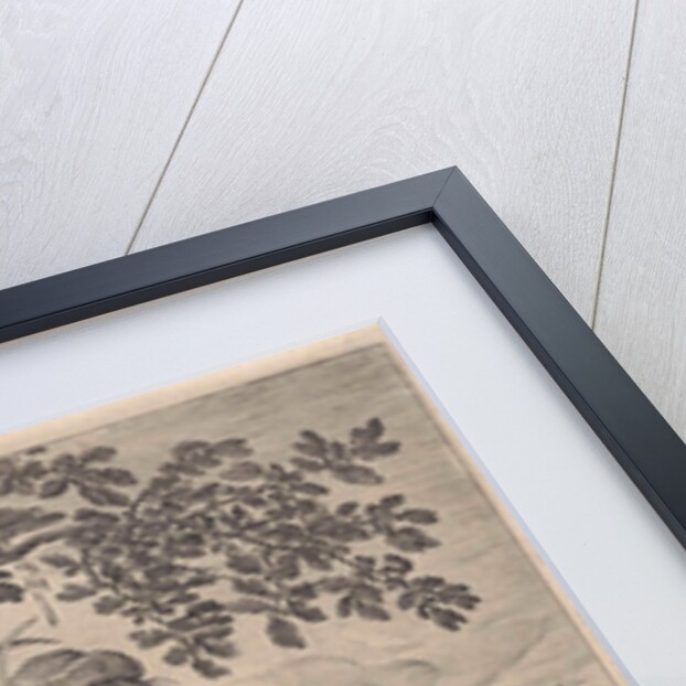 Man with a crossbow by Claes Jansz. Visscher II