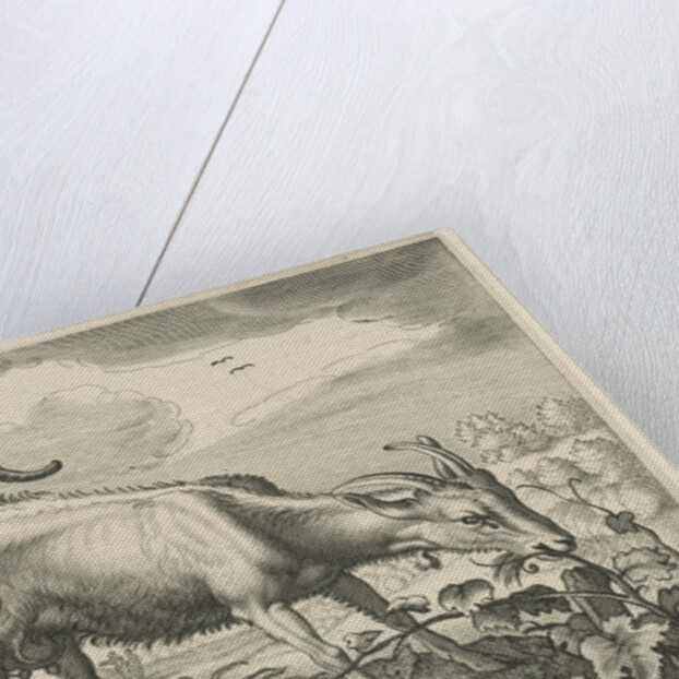 Two goats in a vineyard by Nicolaes Visscher I