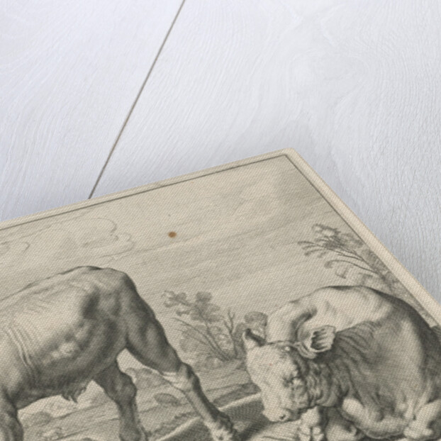 Pasture with two bulls by Nicolaes Visscher I