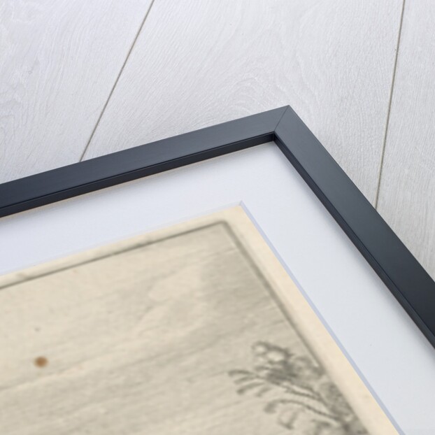 Pasture with two bulls by Nicolaes Visscher I