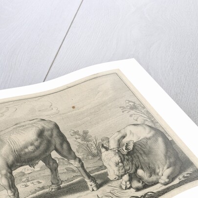 Pasture with two bulls by Nicolaes Visscher I
