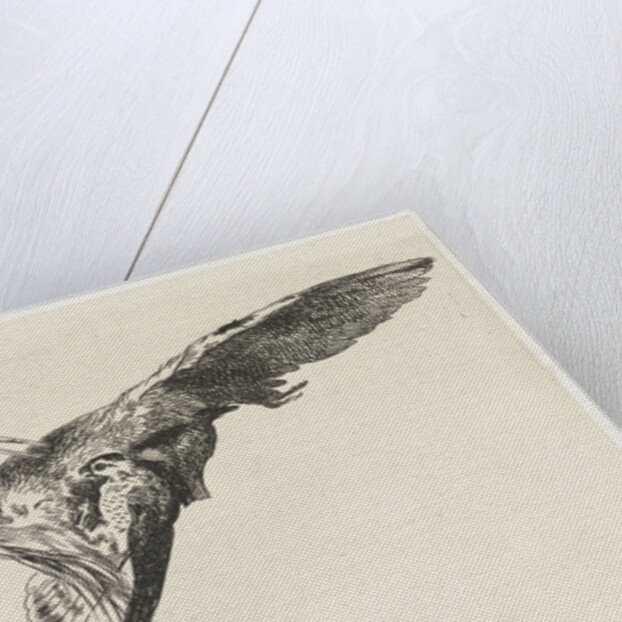 A falcon is a heron in flight by Guillaume Anne van der Brugghen