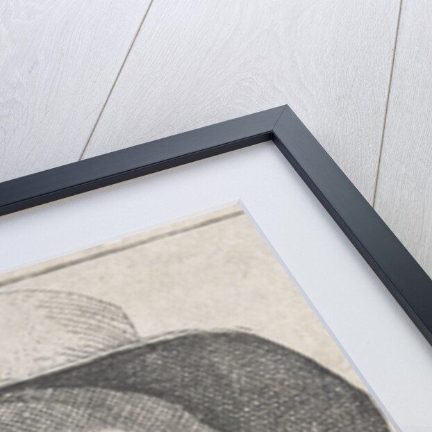 Bust of a farmer with hat by Michael Sweerts