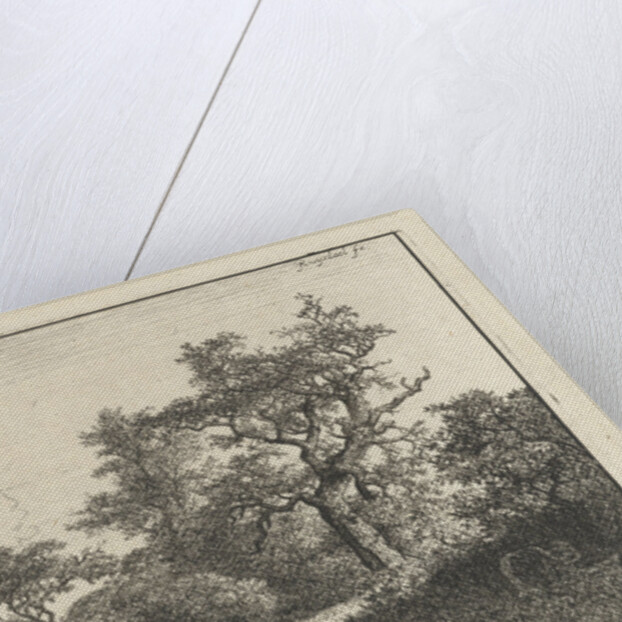 The cornfield by Jacob Isaacksz. van Ruisdael