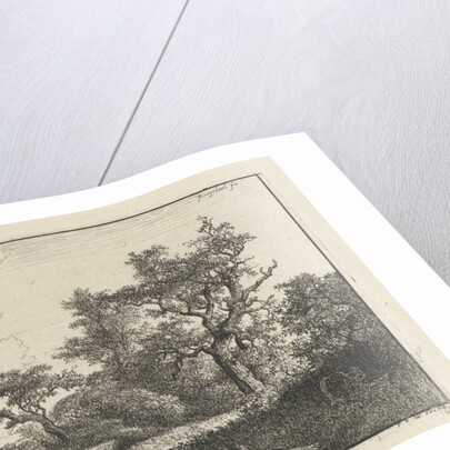 The cornfield by Jacob Isaacksz. van Ruisdael