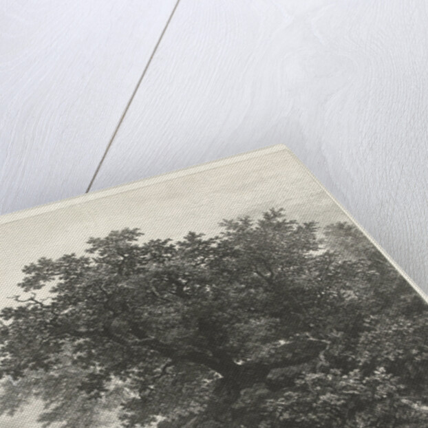 Bakony forest, Transdanubian Mountains, Hungary by Remigius Adrianus Haanen