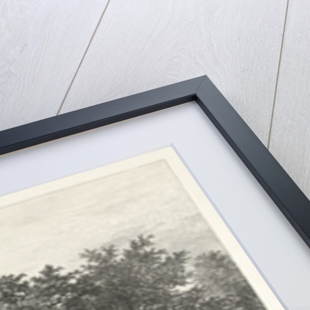 Bakony forest, Transdanubian Mountains, Hungary by Remigius Adrianus Haanen