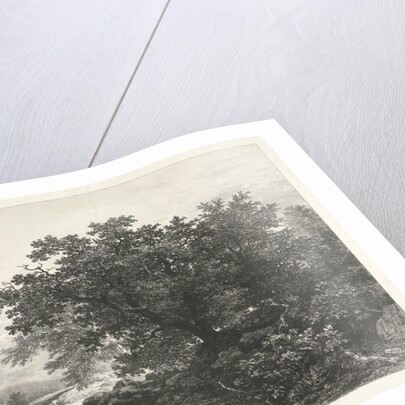 Bakony forest, Transdanubian Mountains, Hungary by Remigius Adrianus Haanen