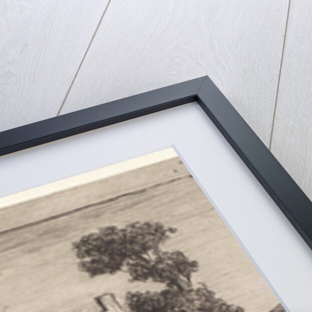 View near Culemborg by Jan Weissenbruch