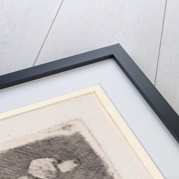 Two dogs by Jan Weissenbruch