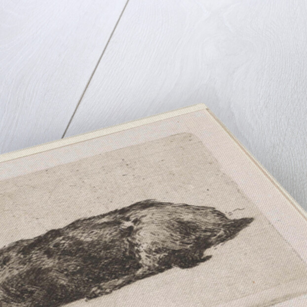 Sleeping dog by Jan Weissenbruch