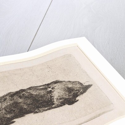 Sleeping dog by Jan Weissenbruch