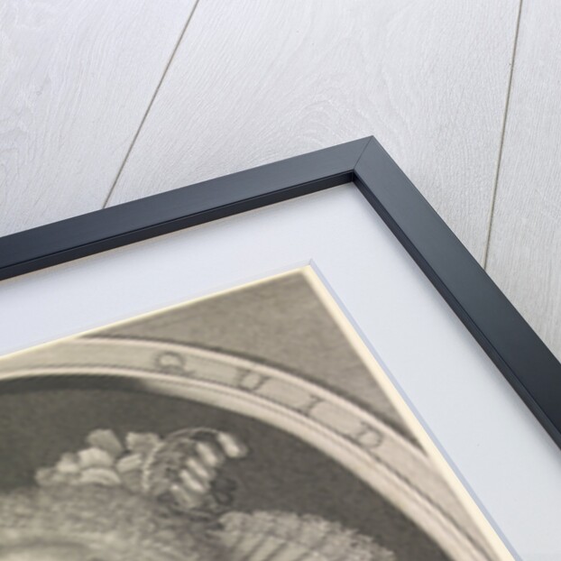 Portrait of Amalia van Solms by Willem Jacobsz. Delff