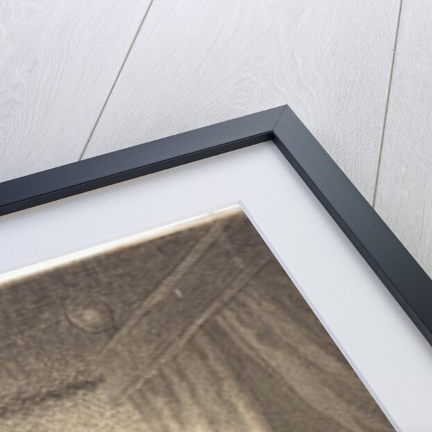 Mathematician by Jan Gillisz. van Vliet