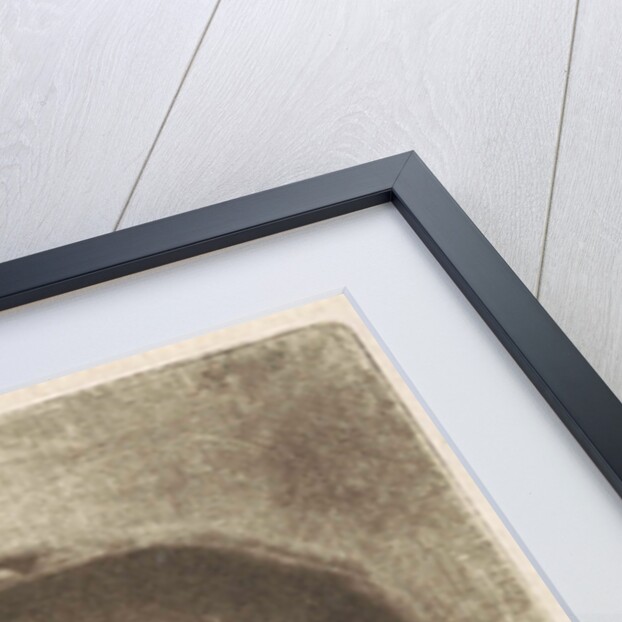 Bust of a woman with a hat by Aert Schouman