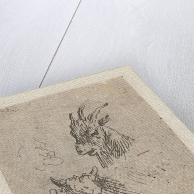 Heads of a goat and a cow by Nicolaes Pietersz. Berchem