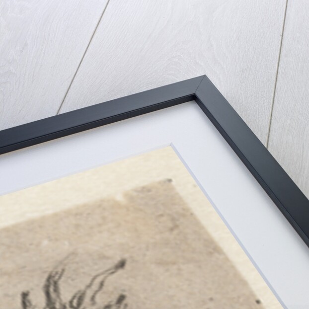 Heads of a goat and a cow by Nicolaes Pietersz. Berchem