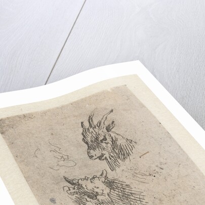 Heads of a goat and a cow by Nicolaes Pietersz. Berchem