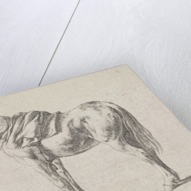 Saddled horse by Philips Wouwerman