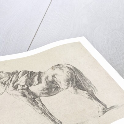 Saddled horse by Philips Wouwerman