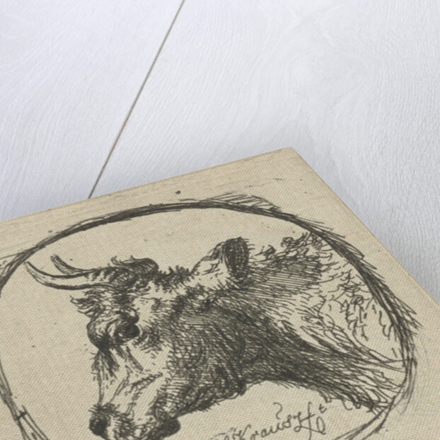 Cow's head in profile to the left by Simon Andreas Krausz