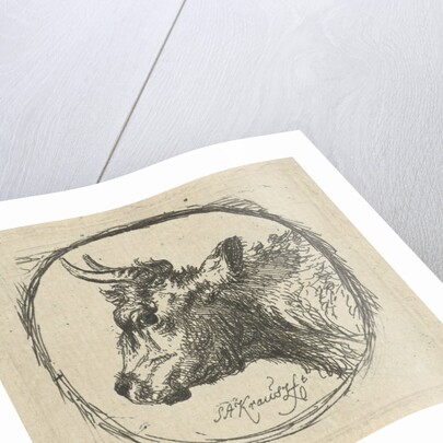 Cow's head in profile to the left by Simon Andreas Krausz