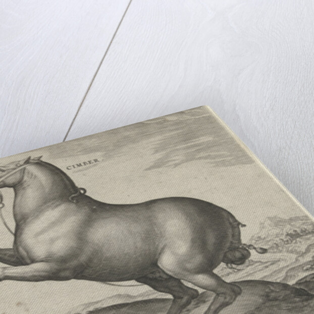 Horse from Scythia by Philips Galle