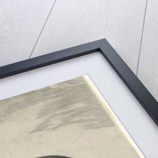 Horse from Scythia by Philips Galle