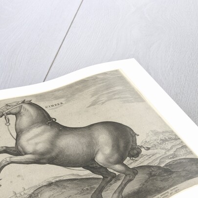 Horse from Scythia by Philips Galle