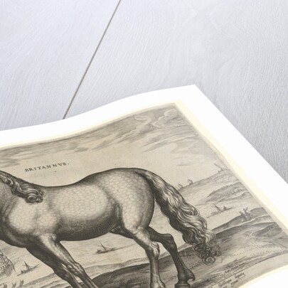 Horse from Brittany, Brittanus by Philips Galle