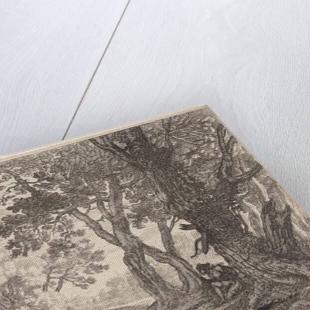 Salmacis and Hermaphrodite by Pierre Drevet