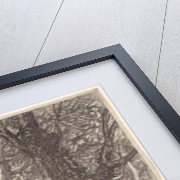 Salmacis and Hermaphrodite by Pierre Drevet