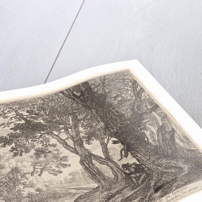 Salmacis and Hermaphrodite by Pierre Drevet