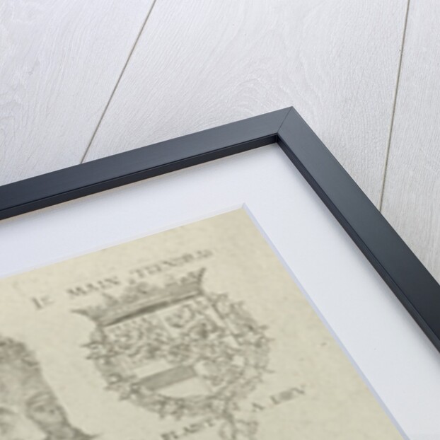 Portrait of William I, Prince of Orange by Abraham de Bruyn