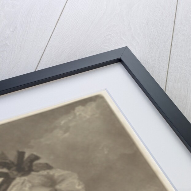 Portrait of Anne Goddard Williams Hope by John & Josiah Boydell